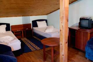 Дома для отпуска Комплекс Стария Чинар Мелник Двухместный номер с 2 отдельными кроватями-1